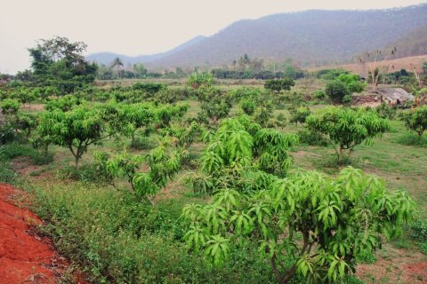 House in Chiang Dao, Thailand 5 bedrooms № 155053 - photo 5