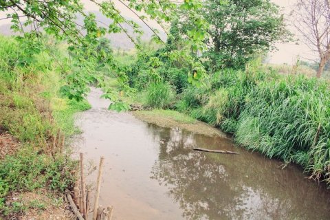 House in Chiang Dao, Thailand 5 bedrooms № 155053 - photo 3