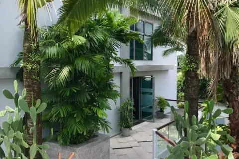 Studio in Phuket, Thailand № 133299 - photo 9