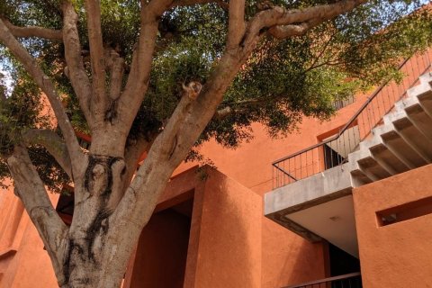 Кондоминиум с 3 спальнями в Хуа Хине, Таиланд № 149010 - фото 19