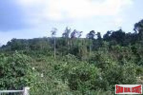 ที่ดินในอ่าวนาง, ประเทศไทย 34780 ตร.ม. № 202459 - รูปถ่าย 3