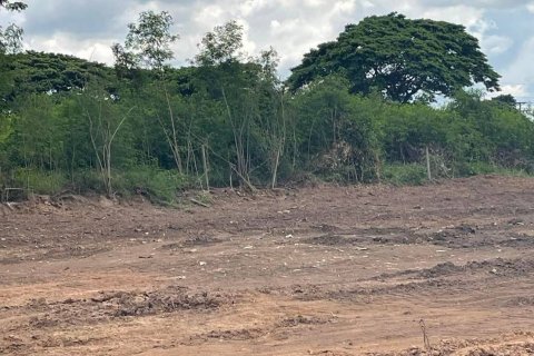 Land in Sikhio, Thailand 9600 sq.m. № 159224 - photo 4