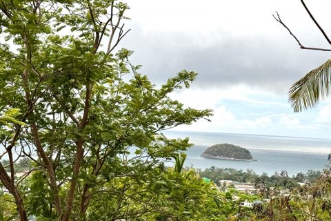 Земельный участок в Пхукете, Таиланд 7615м2  № 141086 - фото 3