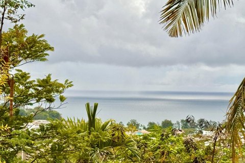 Земельный участок в Пхукете, Таиланд 7615м2  № 141086 - фото 5