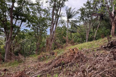 Земельный участок в Пхукете, Таиланд 7615м2  № 141086 - фото 12