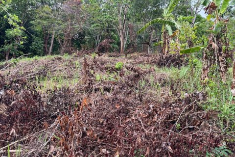 Земельный участок в Пхукете, Таиланд 7615м2  № 141086 - фото 13