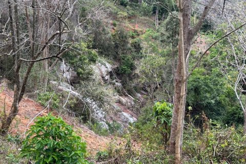 Земельный участок в Пхукете, Таиланд 7615м2  № 141086 - фото 14