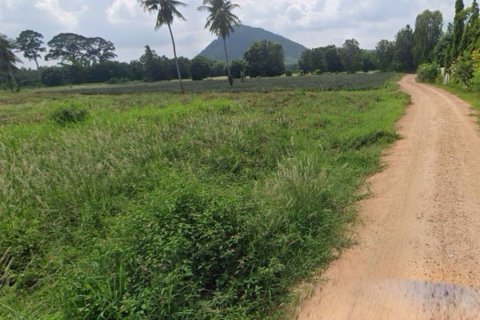 Land in Cha-am, Thailand 15596 sq.m. № 172081 - photo 4