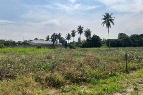 Land in Cha-am, Thailand 15596 sq.m. № 172081 - photo 3