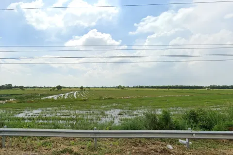 Land in Prachinburi, Thailand 16000 sq.m. № 172082 - photo 2
