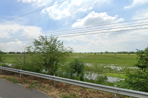 Land in Prachinburi, Thailand 16000 sq.m. № 172082 - photo 4