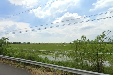 Land in Prachinburi, Thailand 16000 sq.m. № 172082 - photo 3