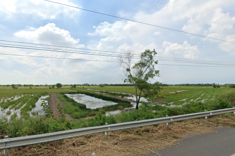 Land in Prachinburi, Thailand 16000 sq.m. № 172082 - photo 5