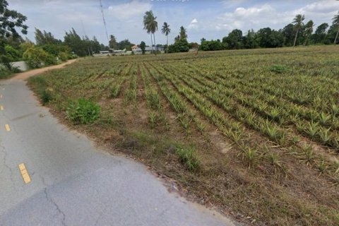 Land in Cha-am, Thailand 15592 sq.m. № 172080 - photo 3