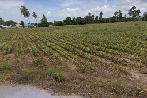 Land in Cha-am, Thailand 15592 sq.m. № 172080 - photo 6