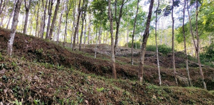 Terrain à Phang Nga, Thaïlande 43200 m2 № 169003