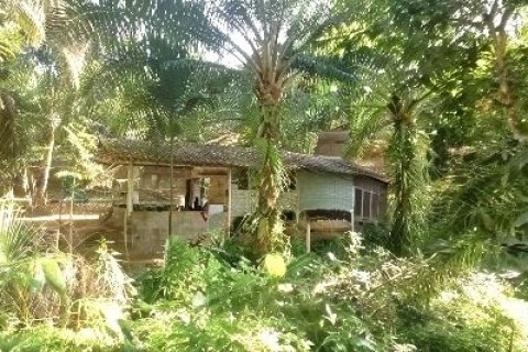 Terrain à Phang Nga, Thaïlande 43200 m2 № 169003 - photo 4