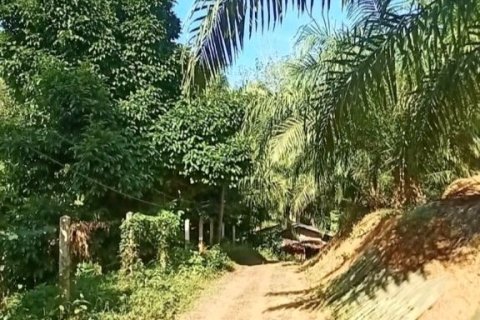 Terrain à Phang Nga, Thaïlande 43200 m2 № 169003 - photo 7