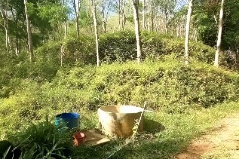 Terrain à Phang Nga, Thaïlande 43200 m2 № 169003 - photo 5