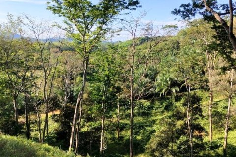 Terrain à Phang Nga, Thaïlande 43200 m2 № 169003 - photo 12