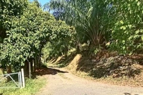 Terrain à Phang Nga, Thaïlande 43200 m2 № 169003 - photo 10