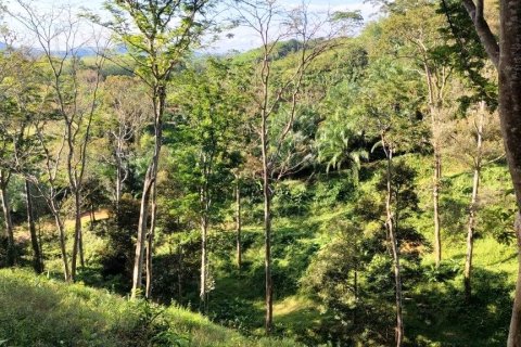 Terrain à Phang Nga, Thaïlande 43200 m2 № 169003 - photo 13