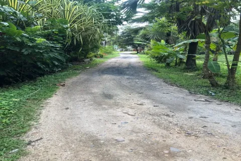 Terrain à Chiang Mai, Thaïlande № 162840 - photo 8