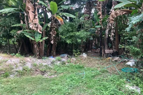 Terrain à Chiang Mai, Thaïlande № 162840 - photo 9