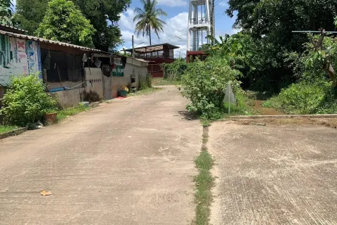 Земельный участок в Чиангмае, Таиланд № 162840 - фото 5