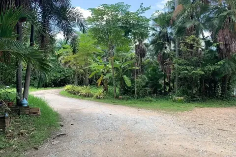 Terrain à Chiang Mai, Thaïlande № 162840 - photo 11