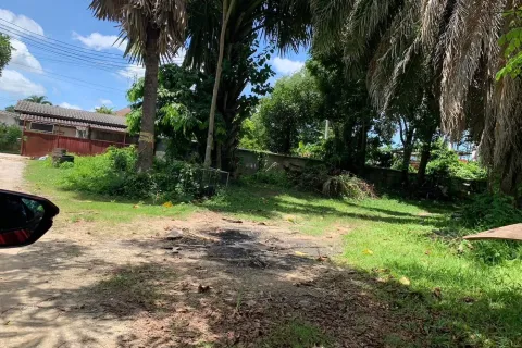 Terrain à Chiang Mai, Thaïlande № 162840 - photo 4