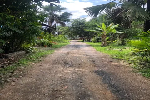 Terrain à Chiang Mai, Thaïlande № 162840 - photo 6