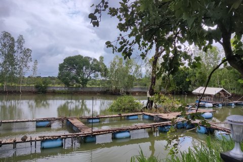 Дом в Убонратчатхани, Таиланд с 7 спальнями  № 154259 - фото 6