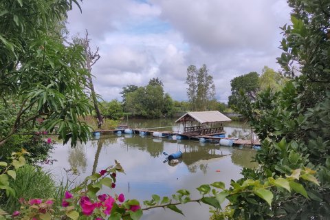 Дом в Убонратчатхани, Таиланд с 7 спальнями  № 154259 - фото 14
