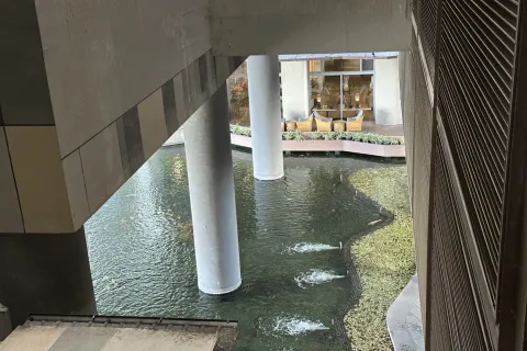 Condo à Yan Nawa, Bangkok, Thaïlande, 2 chambres  № 163095 - photo 13