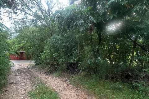 Земельный участок в Самуи, Таиланд 444м2 № 163096