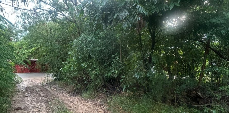 Земельный участок в Самуи, Таиланд 444м2  № 163096