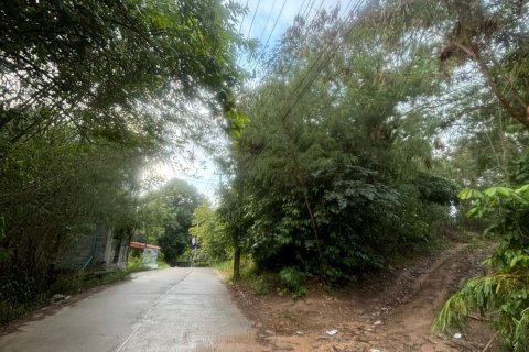 Земельный участок в Самуи, Таиланд 444м2  № 163096 - фото 2