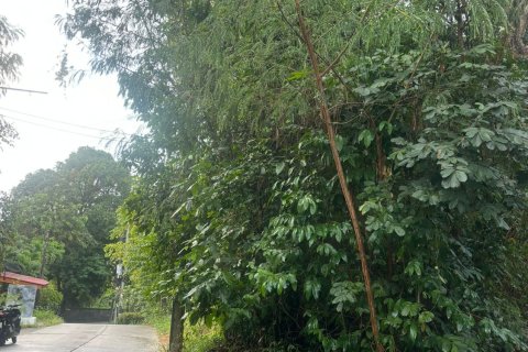 Земельный участок в Самуи, Таиланд 444м2  № 163096 - фото 5