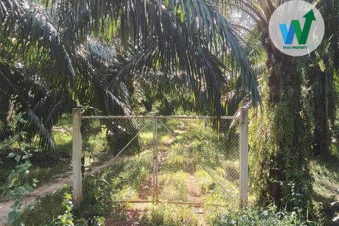 Земельный участок в Пхаттхалунге, Таиланд 3083.9м2  № 163098 - фото 9