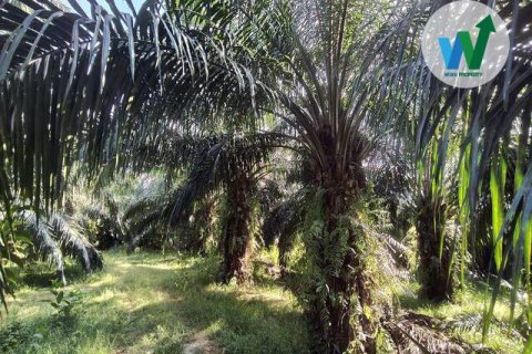 Земельный участок в Пхаттхалунге, Таиланд 3083.9м2  № 163098 - фото 7