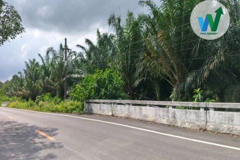 Земельный участок в Пхаттхалунге, Таиланд 3083.9м2  № 163098 - фото 2