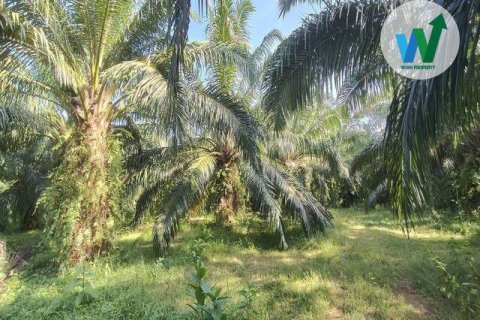 Земельный участок в Пхаттхалунге, Таиланд 3083.9м2  № 163098 - фото 6