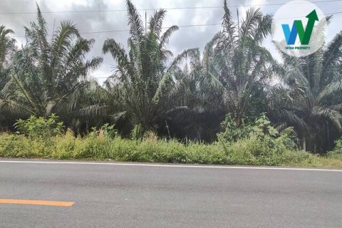 Земельный участок в Пхаттхалунге, Таиланд 3083.9м2  № 163098 - фото 3