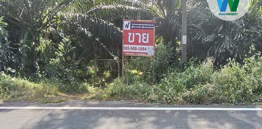 Земельный участок в Пхаттхалунге, Таиланд 3083.9м2  № 163098