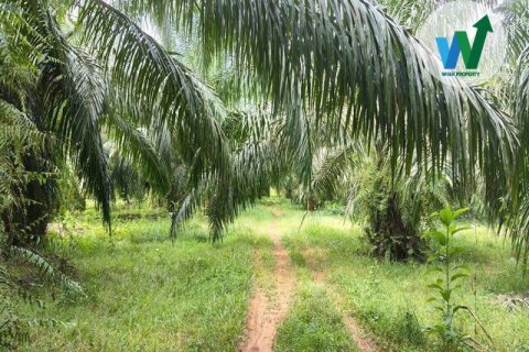 Земельный участок в Пхаттхалунге, Таиланд 3083.9м2  № 163098 - фото 8