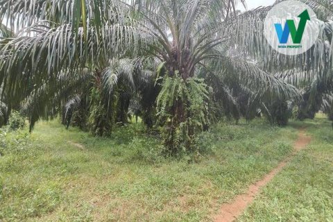 Земельный участок в Пхаттхалунге, Таиланд 3083.9м2  № 163098 - фото 5