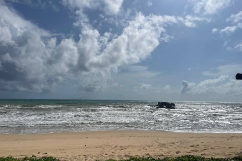 Земельный участок в Май Кхао, Таиланд 129600м2  № 141030 - фото 6