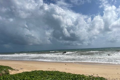 Земельный участок в Май Кхао, Таиланд 129600м2  № 141030 - фото 4