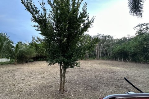 Земельный участок в Паклоке, Таиланд 837.2м2  № 140457 - фото 6